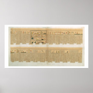 Poster Illustrations d'un manuscrit de Pampus avec