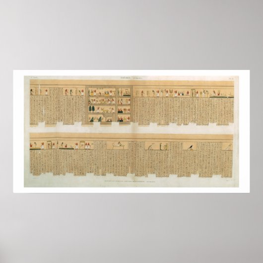 Poster Illustrations d'un manuscrit de Pampus avec hiérol (Devant)
