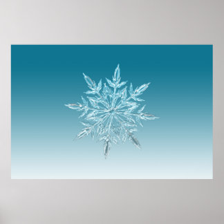 Poster illustrations snowflake ice crystal winter snow