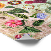 Poster Illustrations vintages de fleurs botaniques Art de (Coin)