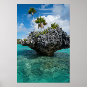 Poster Îlots Champignons aux Fidji