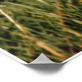 Poster Ils Ont Arrêté Ici (Coin)