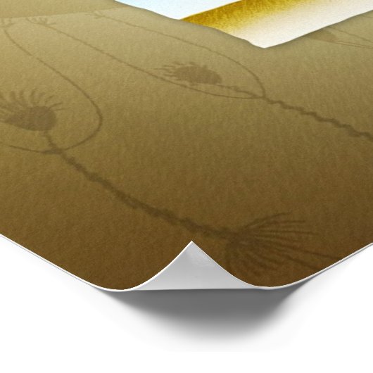 Poster Ils ont volé la lune version 2 (Coin)