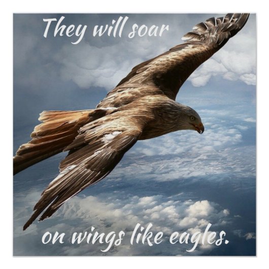 Poster Ils vont monter en flèche sur des ailes comme les (Devant)