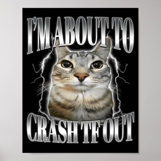 Poster I'm About To Crash Out Funny Staring Cat Brainrot (Devant)