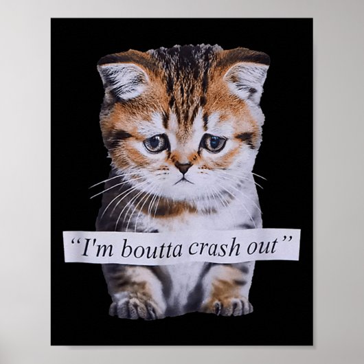 Poster I'm Boutta Crash Out Cat Funny Meme Cat Pet Lover  (Devant)