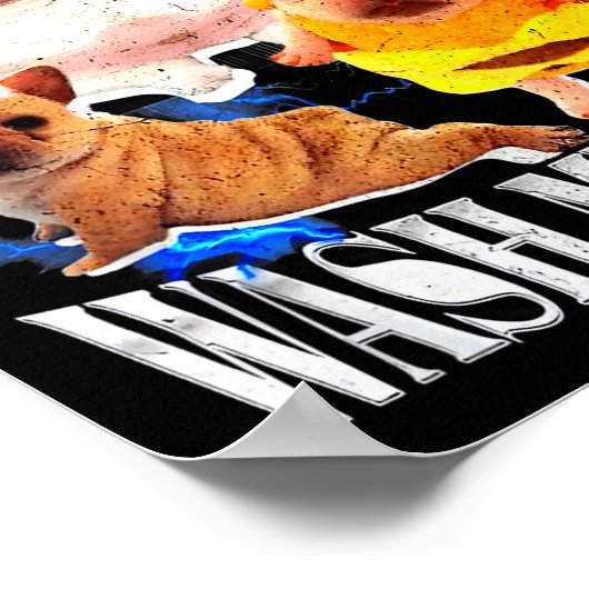 Poster Im Pibble Wash My Belly Frenchie Bulldog (Coin)