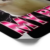 Poster I'm Trying My Silly Crying Cat Meme Funny Cats Ani (Coin)