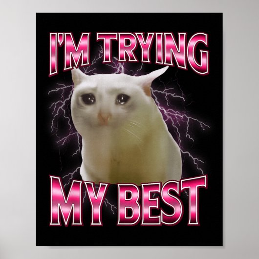 Poster I'm Trying My Silly Crying Cat Meme Funny Cats Ani (Devant)