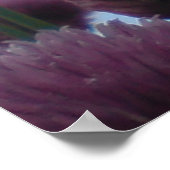 Poster - Image 1 de la cime (Coin)