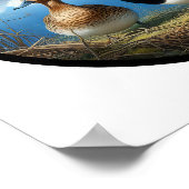 Poster Image 3D circulaire d'un beau canard à dos de cana (Coin)