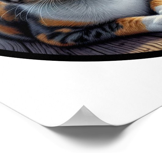 Poster Image 3D circulaire d'un beau chat Calico (Coin)