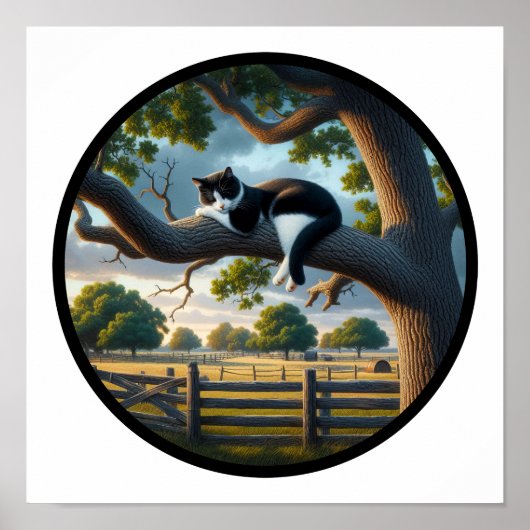 Poster Image 3D circulaire d'un beau chat Tuxedo (Devant)