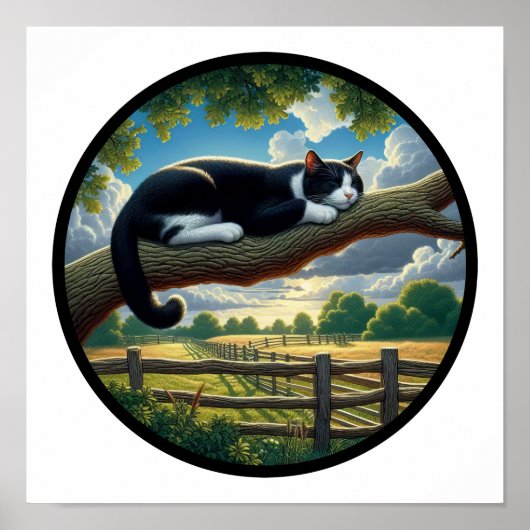 Poster Image 3D circulaire d'un beau chat Tuxedo (Devant)