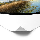 Poster Image 3D circulaire d'un canard à oeil d'or commun (Coin)