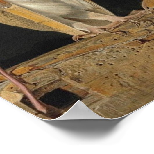 Poster Image Chouette vintage (Coin)