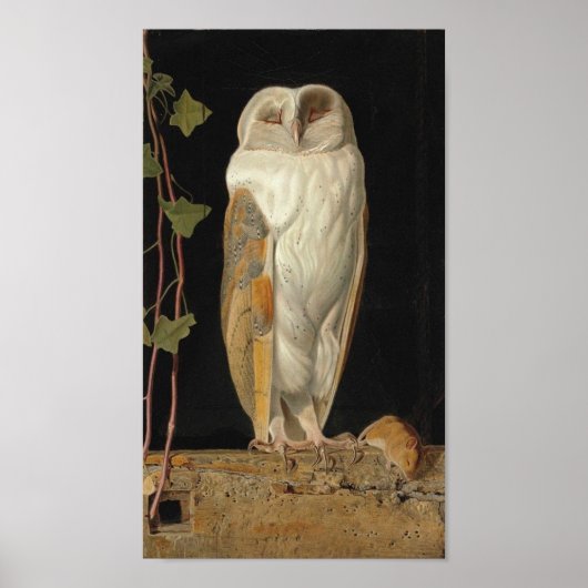 Poster Image Chouette vintage (Devant)