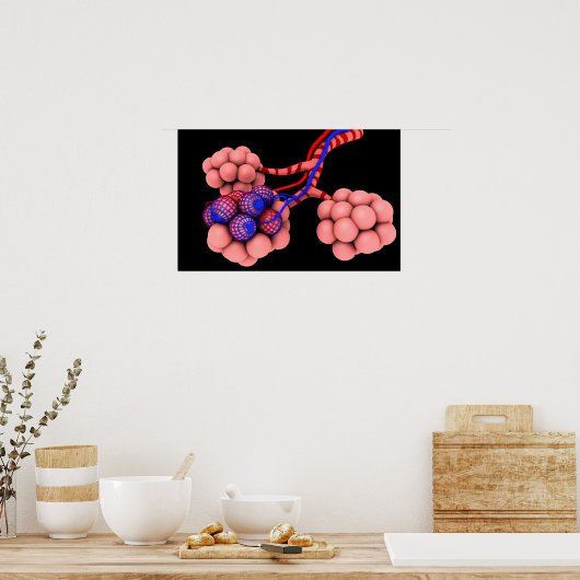 Poster Image Conceptuelle D'Alveoli 2 (Cuisine)