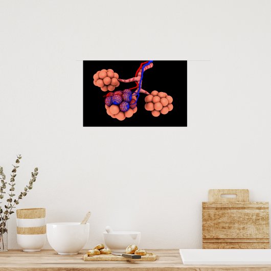 Poster Image Conceptuelle D'Alveoli 3 (Cuisine)