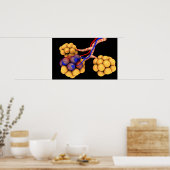 Poster Image Conceptuelle D'Alveoli 4 (Cuisine)