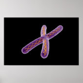 Poster Image Conceptuelle De Chromosome 2 (Devant)