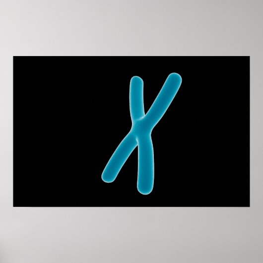 Poster Image Conceptuelle De Chromosome 3 (Devant)