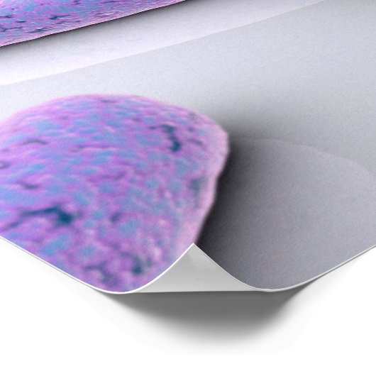 Poster Image Conceptuelle De Chromosome 4 (Coin)