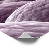 Poster Image Conceptuelle De La Fertilisation (Coin)