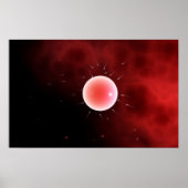 Poster Image Conceptuelle De La Fertilisation Commune (Devant)