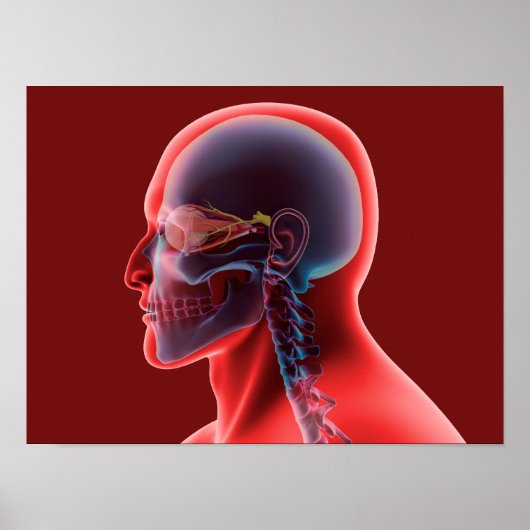 Poster Image Conceptuelle De L'Oeil Et Du Crâne Humains (Devant)