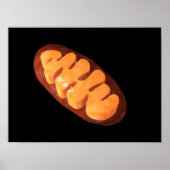 Poster Image Conceptuelle De Mitochondria 1 (Devant)