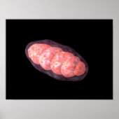 Poster Image Conceptuelle De Mitochondria 2 (Devant)