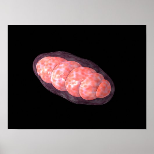 Poster Image Conceptuelle De Mitochondria 2 (Devant)