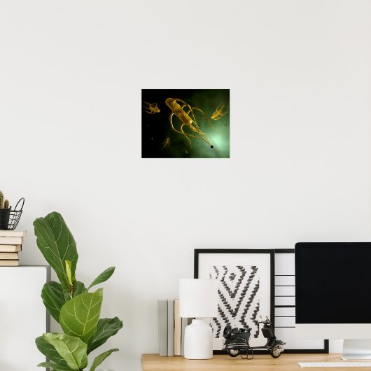 Poster Image Conceptuelle De Salmonella Typhi 2 (Bureau à domicile)