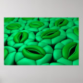 Poster Image Conceptuelle De Stomata 1 (Devant)