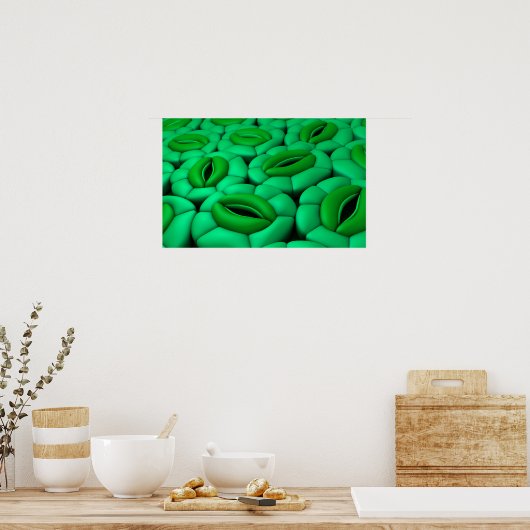 Poster Image Conceptuelle De Stomata 1 (Cuisine)