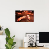 Poster Image Conceptuelle De Vibrio Cholerae 1 (Bureau à domicile)
