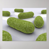 Image Conceptuelle Des Bactéries 1