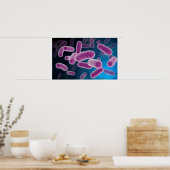 Poster Image Conceptuelle Des Bactéries 3 (Cuisine)