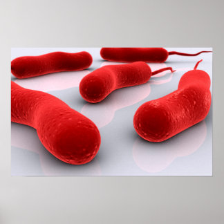 Poster Image Conceptuelle Des Bactéries De Cholérae