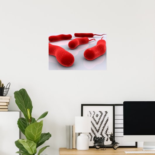 Poster Image Conceptuelle Des Bactéries De Cholérae (Bureau à domicile)