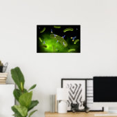 Poster Image Conceptuelle Des Bactéries De Tuage D'Antibe (Bureau à domicile)