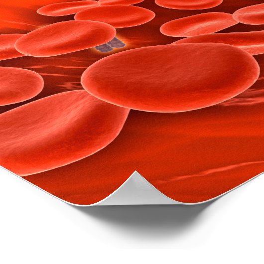 Poster Image Conceptuelle Des Chromosomes Dans Le Sang (Coin)