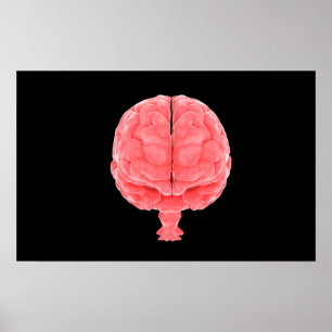 Poster Image Conceptuelle Du Cerveau Humain 3