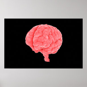 Poster Image Conceptuelle Du Cerveau Humain 5
