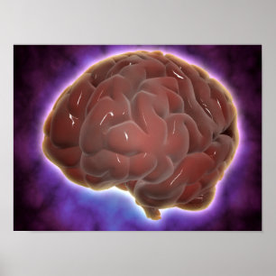 Poster Image Conceptuelle Du Cerveau Humain 6