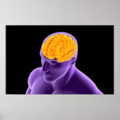 Poster Image Conceptuelle Du Cerveau Humain 8 (Devant)