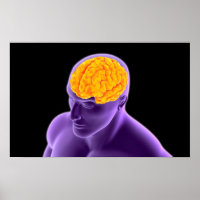 Image Conceptuelle Du Cerveau Humain 8