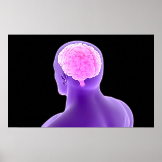 Poster Image Conceptuelle Du Cerveau Humain 9 (Devant)