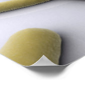 Poster Image Conceptuelle Du Chromosome 1 (Coin)